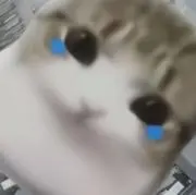 ♥