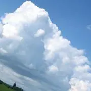 kashiomama