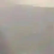 aryの画像
