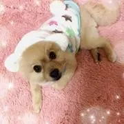 くぅくぅ