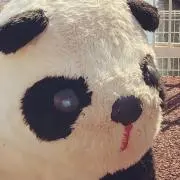 minの画像
