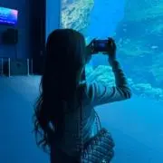 みくの画像