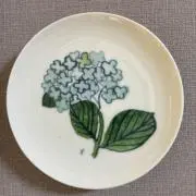 ancoroの画像