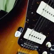 だわっちの画像