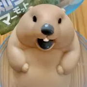 スコット