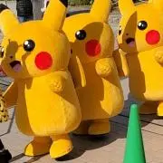ちゅんの画像