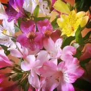 sunny_3224の画像