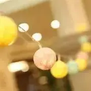 pan*daの画像