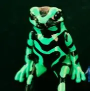 Mouの画像