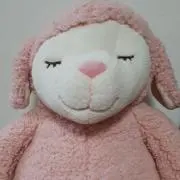 ミキティの画像