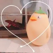 GUMIの画像