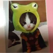 宇宙