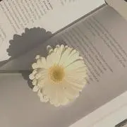 M☆の画像