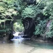 ゆる亀