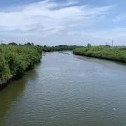 サクダオカの画像