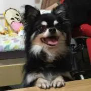 かずくるママ