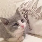 りり☆彡