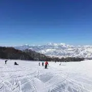 未使用品】堺章正 泉州堺 最高級刃物 本鍛錬 包丁3本セット - メルカリ