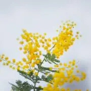 mmee0604の画像