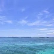 tmの画像