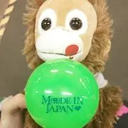 ベイビーココ☆
