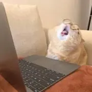 ❤︎の画像