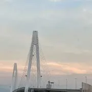 Mizuna  即購入OK