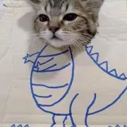 ekkoの画像