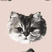 eeeの画像
