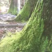 MasaKの画像