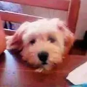 ✤りんりん✤ プロフ必読下さいの画像