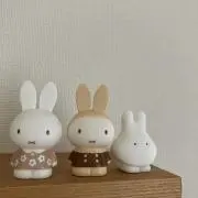 チョコの画像