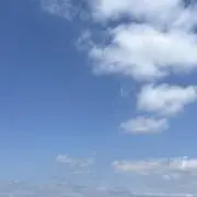 ※購入者様プロフ必読※の画像