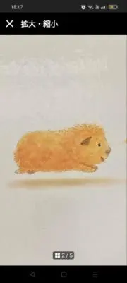 みんちゅうの画像