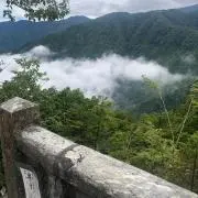 まさゆきの画像
