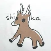sikaの画像