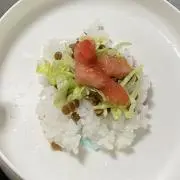 ころりんの画像