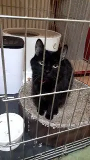 ヒロさん