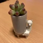 リンの画像