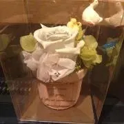 ママ