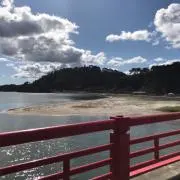 ✳︎断捨離中✳︎  はるちゃんの画像