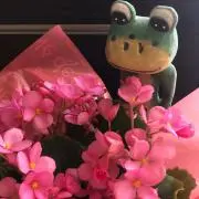 Akiの画像