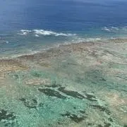 ☆ydb☆ysの画像