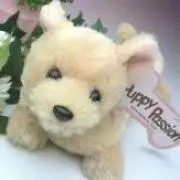 ♥沙紗です♥の画像