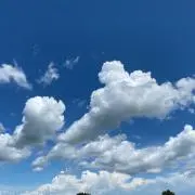 りりーの画像