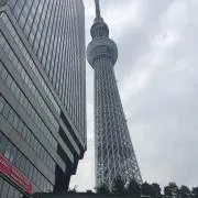人生一度きり！プロフ必読の画像