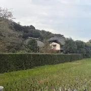カレクの画像