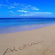 amyseahwの画像