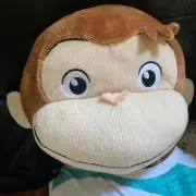 カラテスイマー　プロフ確認の画像
