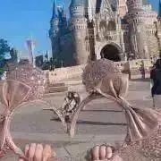 なぴの画像